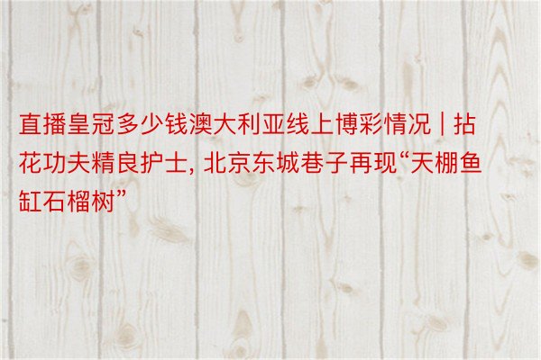 直播皇冠多少钱澳大利亚线上博彩情况 | 拈花功夫精良护士, 北京东城巷子再现“天棚鱼缸石榴树”