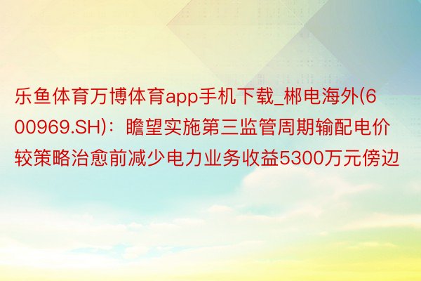 乐鱼体育万博体育app手机下载_郴电海外(600969.SH)：瞻望实施第三监管周期输配电价较策略治愈前减少电力业务收益5300万元傍边