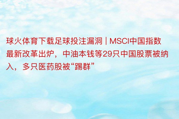 球火体育下载足球投注漏洞 | MSCI中国指数最新改革出炉，中油本钱等29只中国股票被纳入，多只医药股被“踢群”