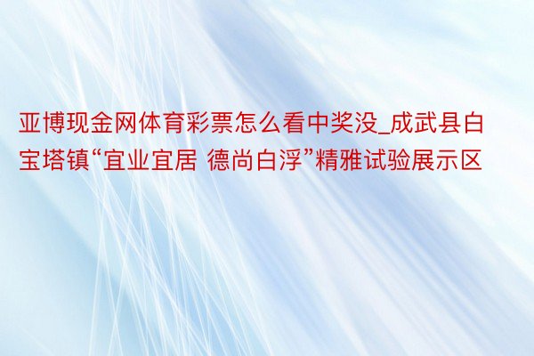 亚博现金网体育彩票怎么看中奖没_成武县白宝塔镇“宜业宜居 德尚白浮”精雅试验展示区