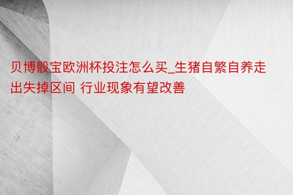 贝博骰宝欧洲杯投注怎么买_生猪自繁自养走出失掉区间 行业现象有望改善