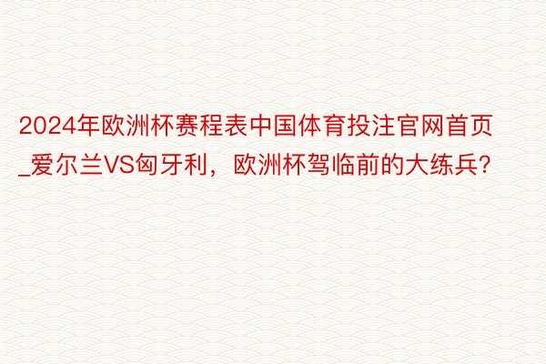 2024年欧洲杯赛程表中国体育投注官网首页_爱尔兰VS匈牙利，欧洲杯驾临前的大练兵？