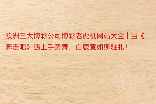 欧洲三大博彩公司博彩老虎机网站大全 | 当《奔走吧》遇上手势舞，白鹿竟如斯驻扎！